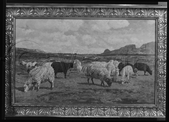 Glassplater og negativ film