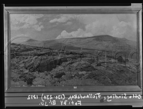 Glassplater og negativ film