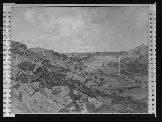 Glassplater og negativ film