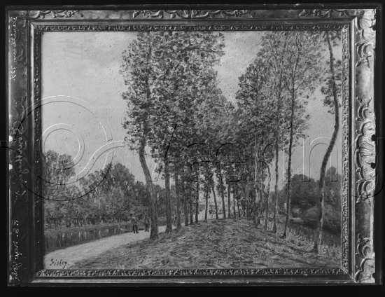 Glassplate og negativ film