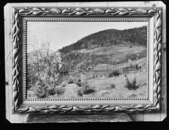 Glassplate og negativ film