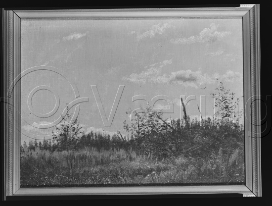 Glassplate og negativ film