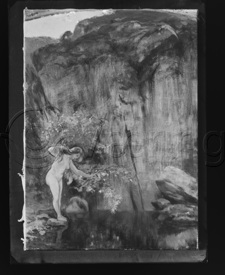 Glassplate og negativ film