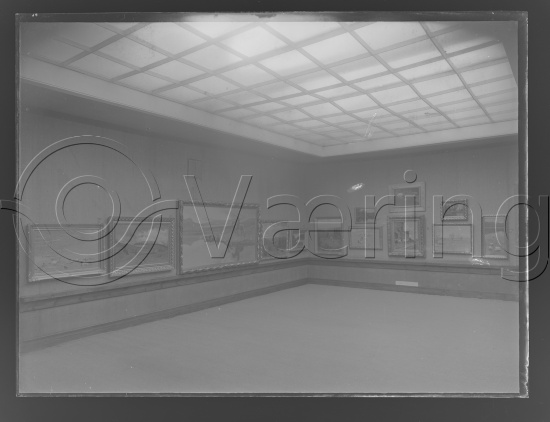 Glassplate og negativ film