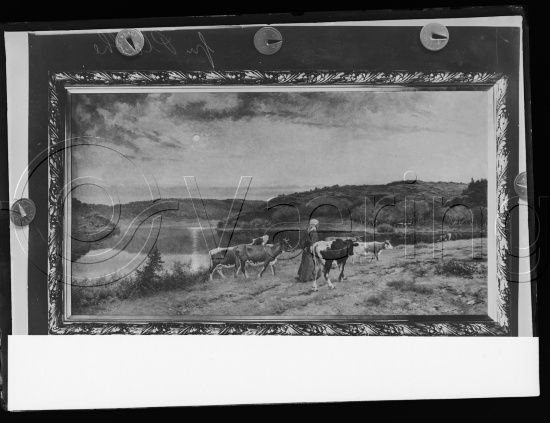 Glassplate og negativ film