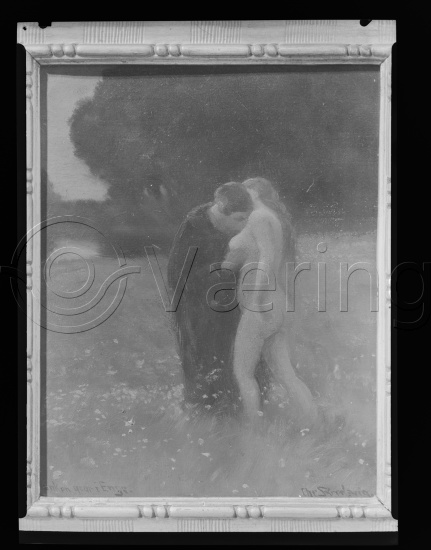 Glassplate og negativ film