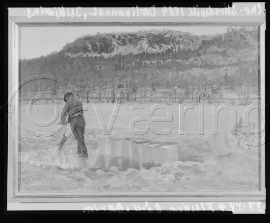 Glassplate og negativ film