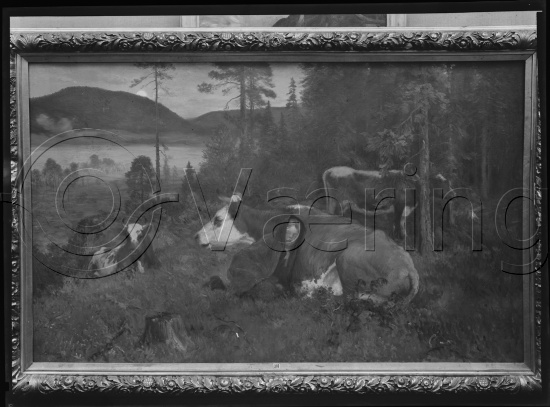Glassplate og negativ film