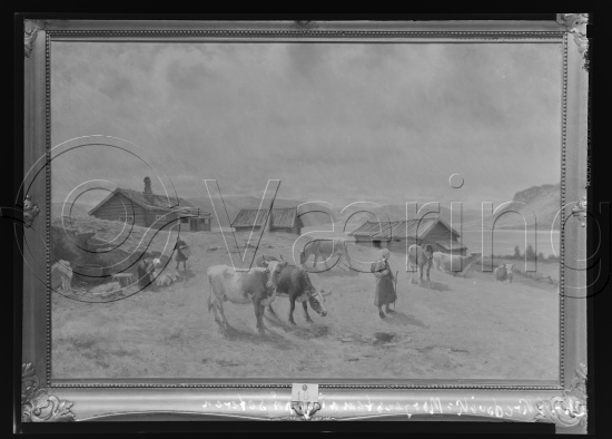 Glassplate og negativ film