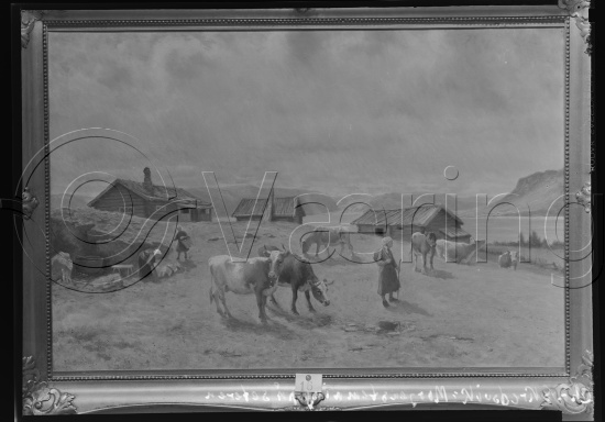 Glassplate og negativ film