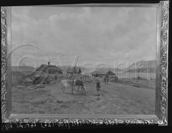 Glassplate og negativ film