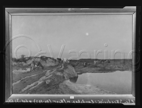 Glassplate og negativ film