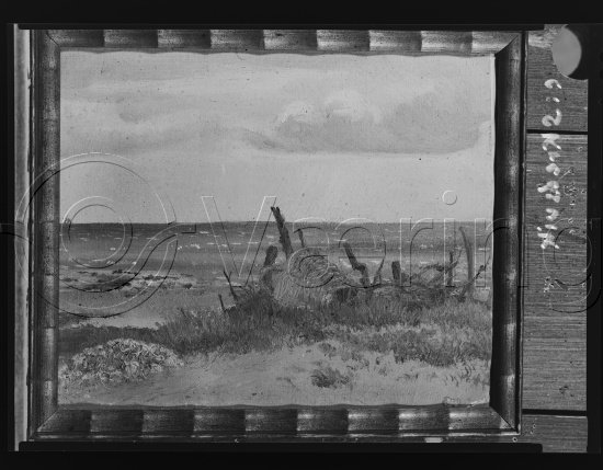 Glassplate og negativ film