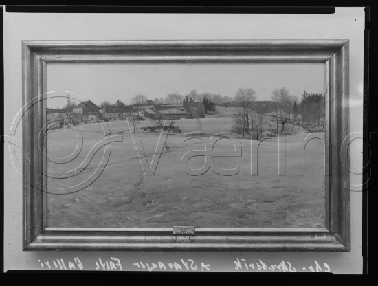 Glassplate og negativ film