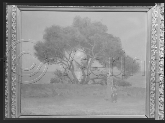 Glassplate og negativ film