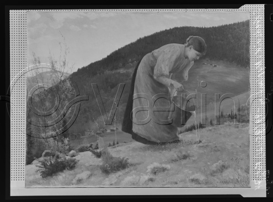Glassplate og negativ film