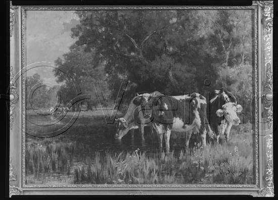 Glassplate og negativ film