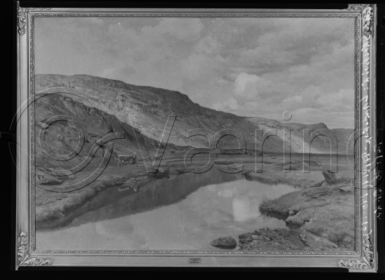 Glassplate og negativ film