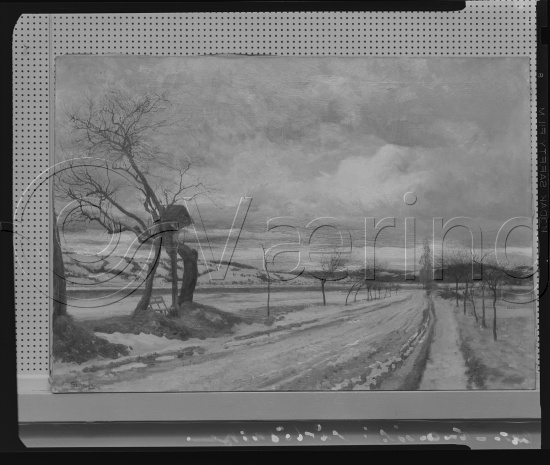 Glassplate og negativ film
