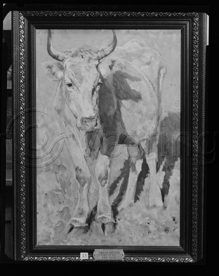 Glassplate og negativ film