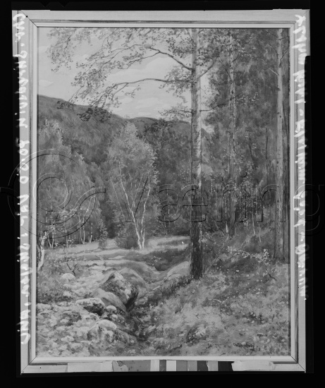 Glassplate og negativ film