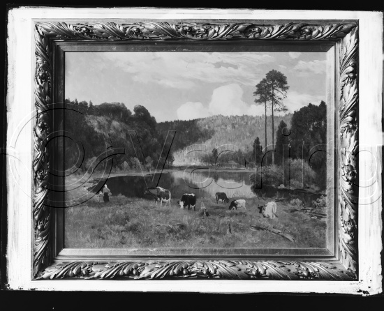 Glassplate og negativ film