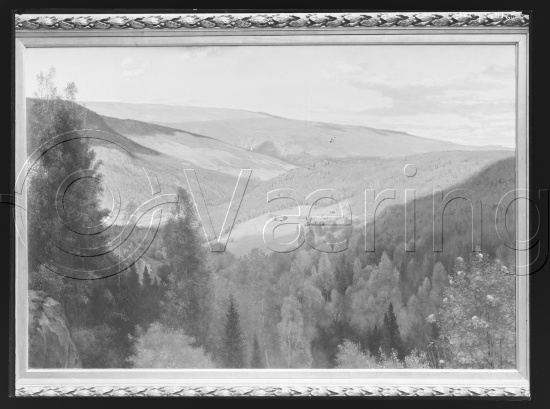 Glassplate og negativ film