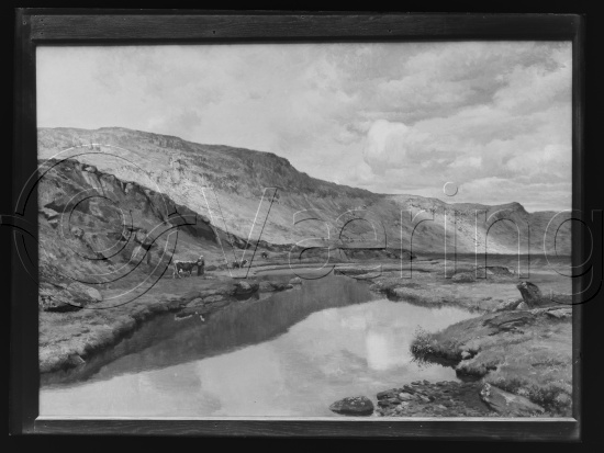 Glassplate og negativ film