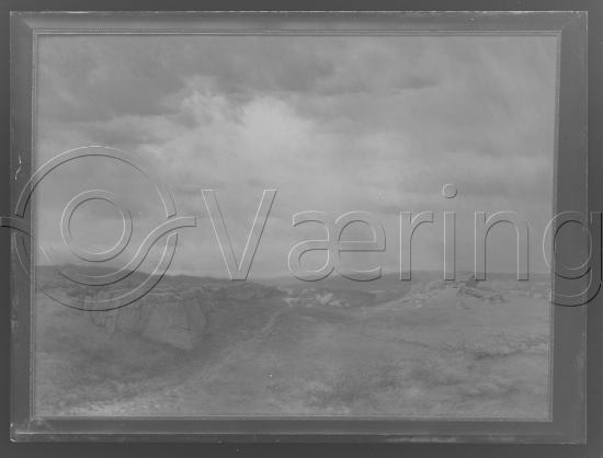 Glassplate og negativ film