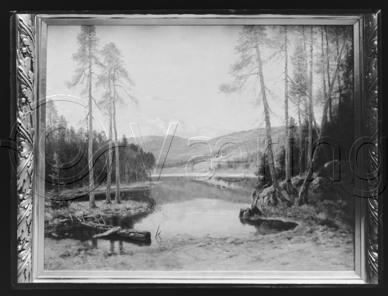 Glassplate og negativ film