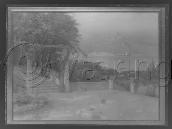 Glassplate og negativ film