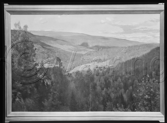 Glassplate og negativ film