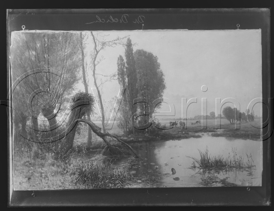 Glassplate og negativ film