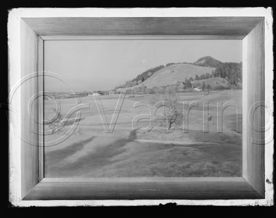 Glassplate og negativ film