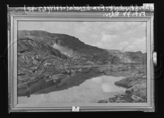 Glassplate og negativ film