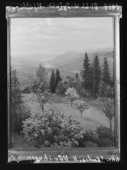 Glassplate og negativ film
