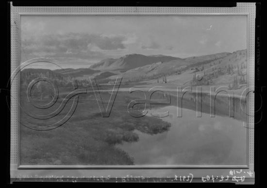Glassplate og negativ film