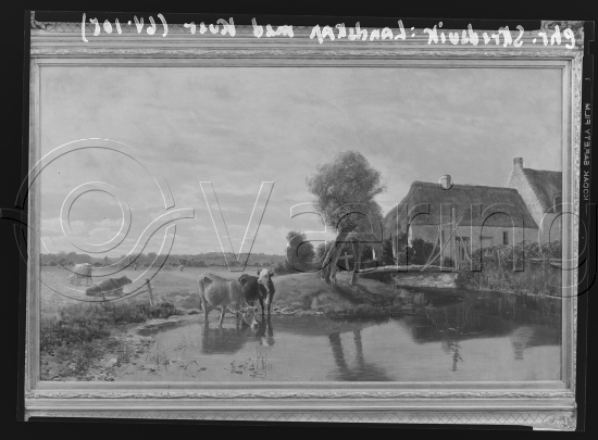 Glassplate og negativ film