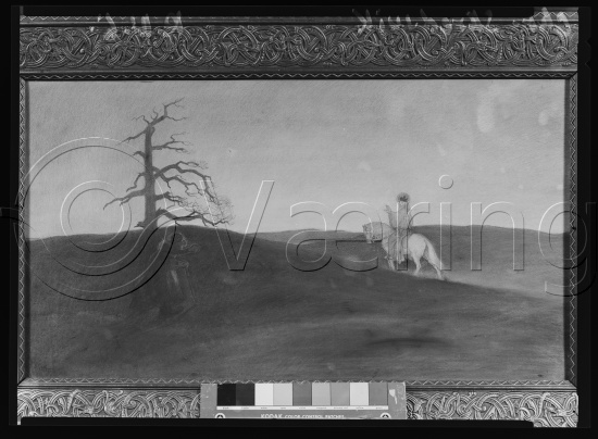 Glassplate og negativ film