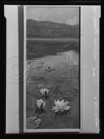 Glassplate og negativ film