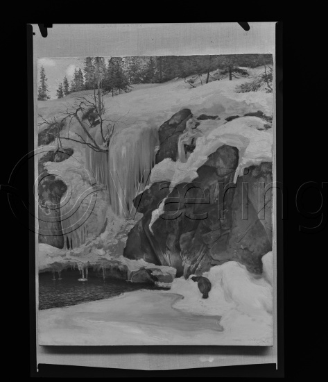 Glassplate og negativ film