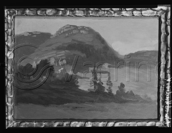 Glassplate og negativ film