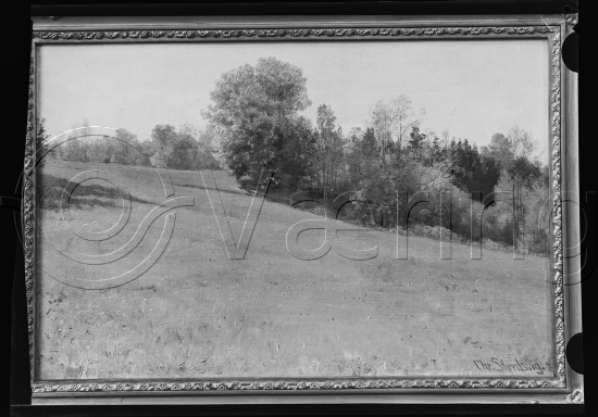 Glassplate og negativ film
