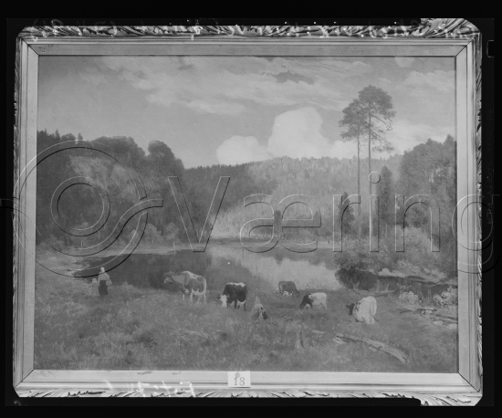 Glassplate og negativ film