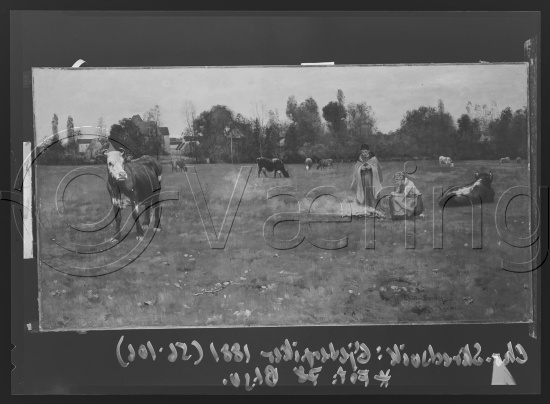 Glassplate og negativ film