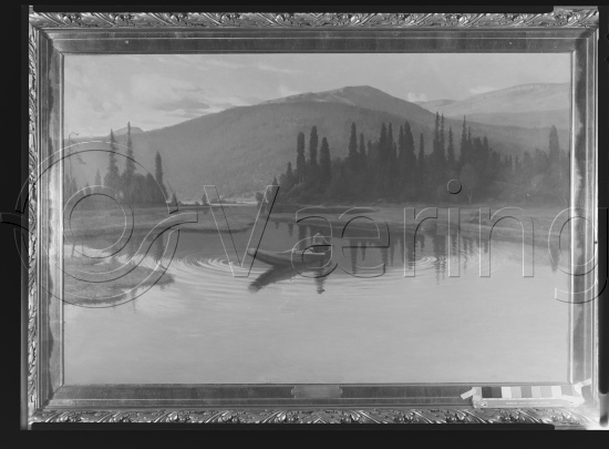 Glassplate og negativ film