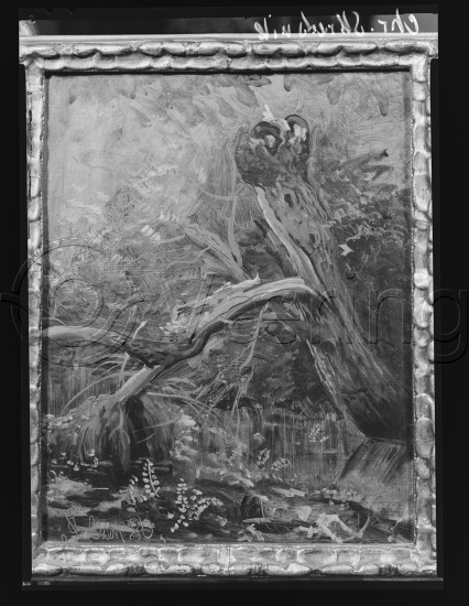 Glassplate og negativ film
