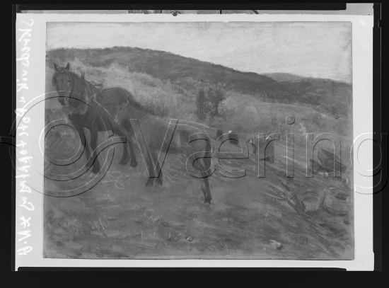 Glassplate og negativ film