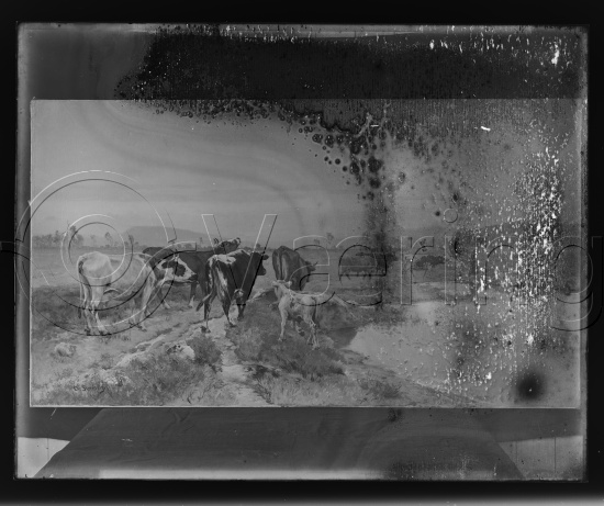 Glassplate