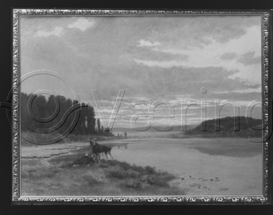 Glassplate og negativ film